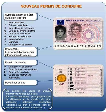 Comprendre les éléments officiels pour acheter un permis de conduire français valide et enregistré.